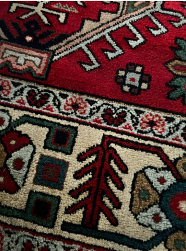 ON SALE 4' x 6' Hand Knotted Rug Perfect for Entry Way